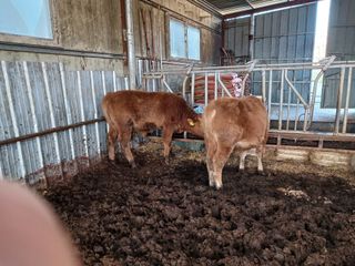 알 수 없음님의 자유주제 · 자유게시판 작성글 사진