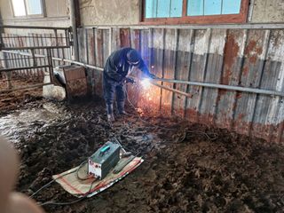 알 수 없음님의 자유주제 · 자유게시판 작성글 사진