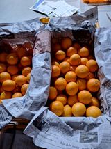 팜모닝 · 게시글 이미지