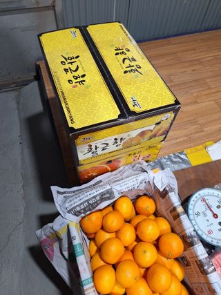 옥이네 농장님의 작성글 사진