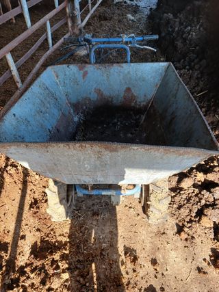 알 수 없음님의 자유주제 · 자유게시판 작성글 사진