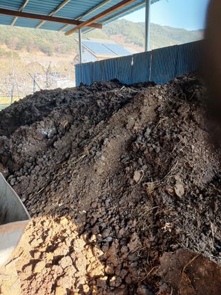 알 수 없음님의 자유주제 · 자유게시판 작성글 사진