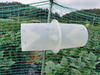 서병열님의 팜모닝 · 출석 작성글 사진