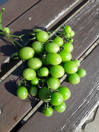 알 수 없음님의 팜모닝 · 출석 작성글 사진