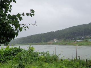 김순필수방님의 마늘 · 일상 작성글 사진