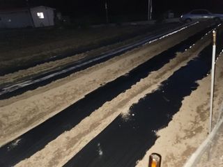 이기도님의 옥수수 · 자유게시판 작성글 사진