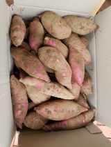 팜모닝 팜모닝·출석 게시글 이미지