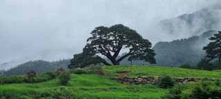 이동규님의 팜모닝 · 출석 작성글 사진