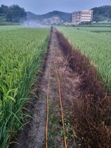 팜모닝 팜모닝·출석 게시글 이미지