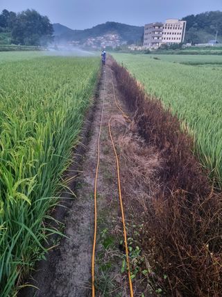 서동훈님의 팜모닝 · 출석 작성글 사진