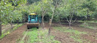 지재광님의 파 · 자유게시판 작성글 사진