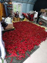 팜모닝 팜모닝·출석 게시글 이미지