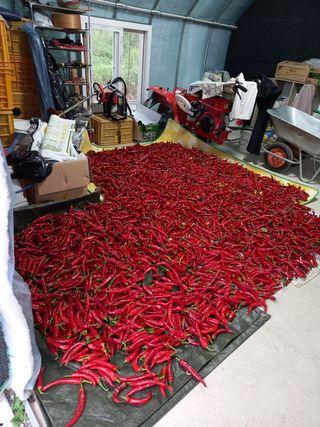 한기호님의 팜모닝 · 출석 작성글 사진