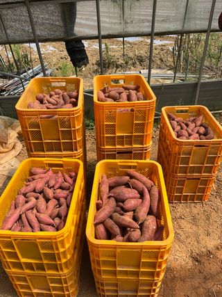 산이뜰(김정우)님의 팜모닝 · 출석 작성글 사진