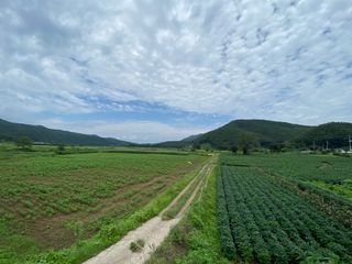 이재운님의 팜모닝 · 출석 작성글 사진