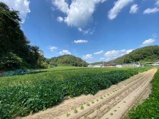 이재운님의 팜모닝 · 출석 작성글 사진