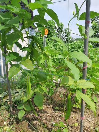 박진희님의 팜모닝 · 출석 작성글 사진