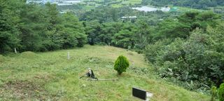 홀로서기님의 팜모닝 · 출석 작성글 사진