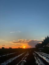 팜모닝 팜모닝·출석 게시글 이미지