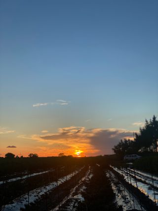 이민정님의 팜모닝 · 출석 작성글 사진