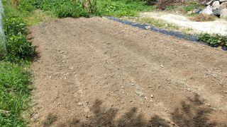 박상현님의 팜모닝 · 출석 작성글 사진