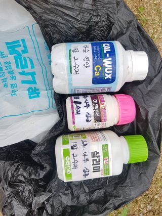 박칠명님의 팜모닝 · 출석 작성글 사진