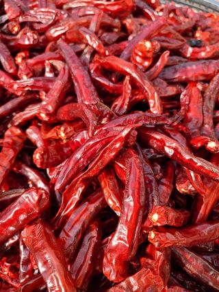 이진숙님의 팜모닝 · 출석 작성글 사진