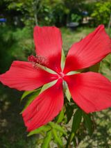 팜모닝 팜모닝·출석 게시글 이미지