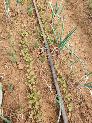 김권수님의 배 · 일상 작성글 사진