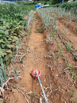 김권수님의 배 · 일상 작성글 사진