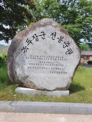 이용철님의 감자 · 자유게시판 작성글 사진