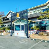 팜모닝 팜모닝·출석 게시글 이미지