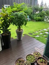 팜모닝 팜모닝·출석 게시글 이미지