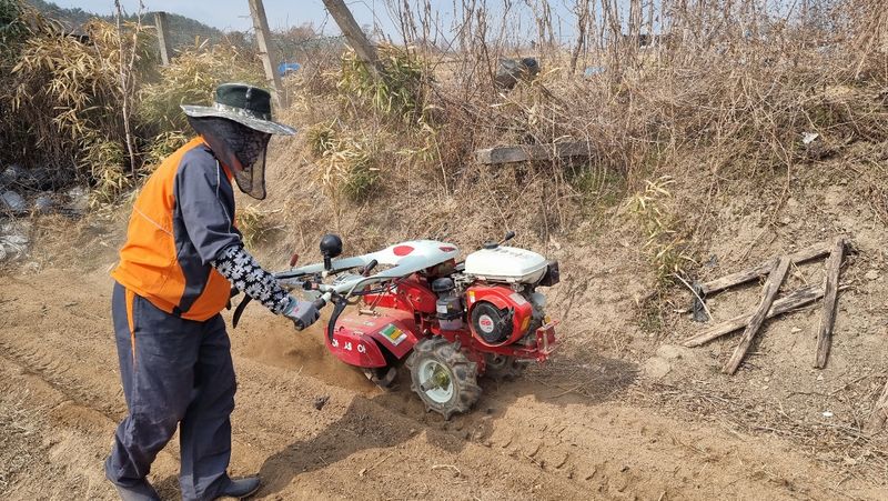 지안이/손주농장주인님의 장터 판매 상품 [주말에 배추 모종을 위한 로타리 작업을 해야 하는데~ ] 첨부 사진