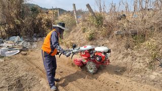지안이/손주농장주인님의 작성글 사진