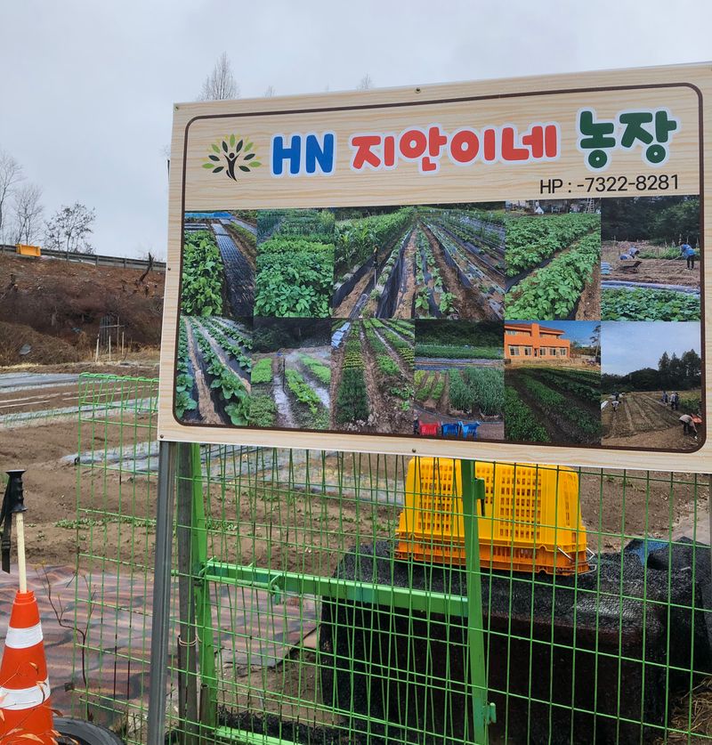 지안이/손주농장주인님의 장터 판매 상품 [주말에 배추 모종을 위한 로타리 작업을 해야 하는데~ ] 첨부 사진