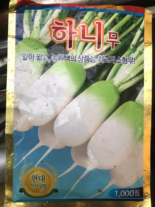 지안이/손주농장주인님의 사과 · 일상 작성글 사진