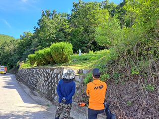 벼16988님의 팜모닝 · 출석 작성글 사진