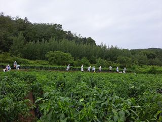 벼16988님의 팜모닝 · 출석 작성글 사진