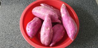 하부용님의 팜모닝 · 출석 작성글 사진