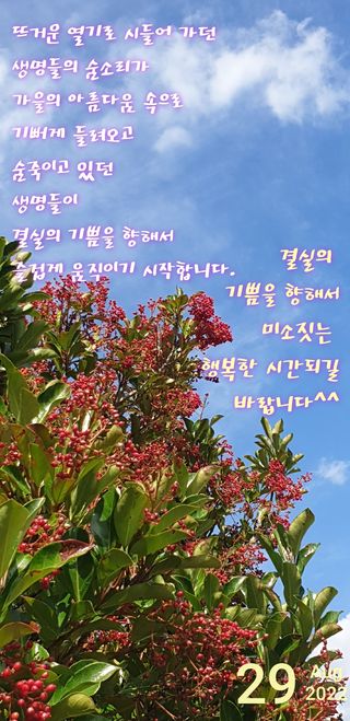 하부용님의 팜모닝 · 출석 작성글 사진