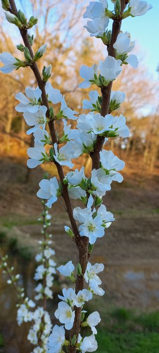 골드핑거님의 팜모닝 · 출석 작성글 사진