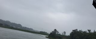 아닌공주님의 팜모닝 · 출석 작성글 사진