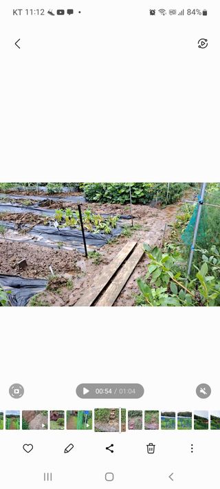 온시디움님의 팜모닝 · 출석 작성글 사진