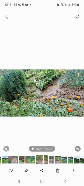 온시디움님의 팜모닝 · 출석 작성글 사진