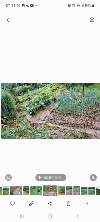 온시디움님의 팜모닝 · 출석 작성글 사진