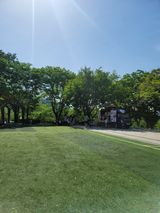 팜모닝 팜모닝·출석 게시글 이미지