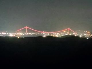 선야원 님의 팜모닝 · 출석 작성글 사진