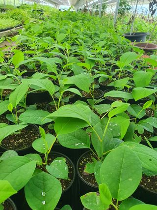 이기자농장님의 팜모닝 · 출석 작성글 사진