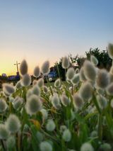 팜모닝 귤·일상 게시글 이미지